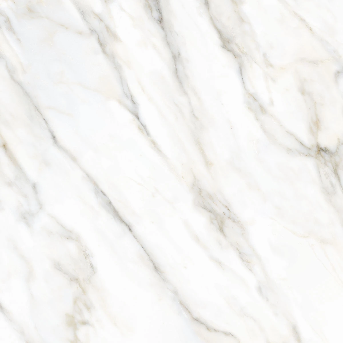 Calacata Oro Polido - 120x120 - Delta Nova — foto 2