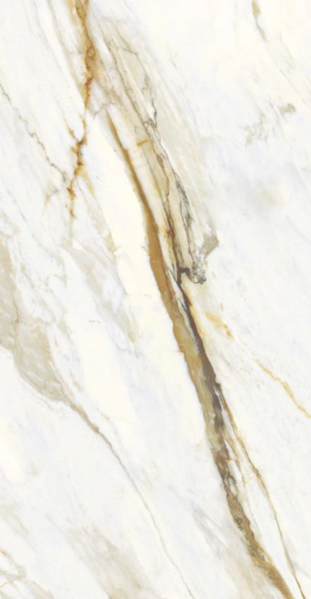 Macchia Oro 61x120 - 61x120 - Karina