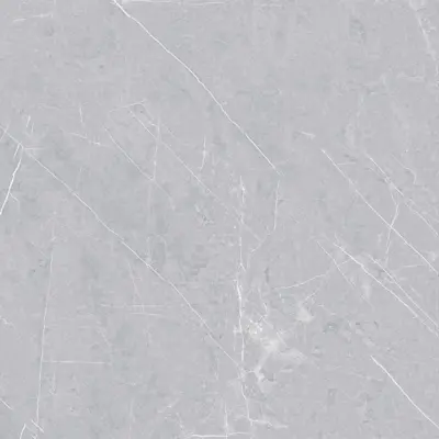 Splendor - 60x60 - Karina