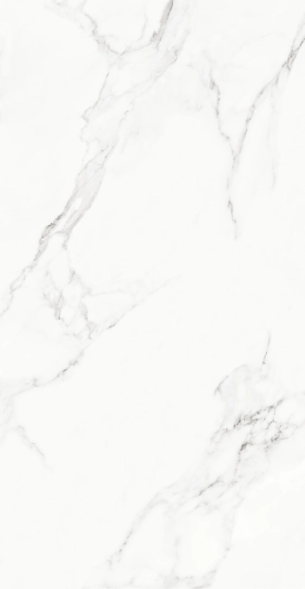 Statuário - 60x120 - Karina — foto 2