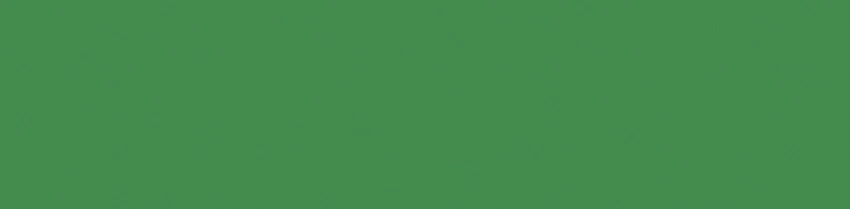 Piso Cerâmico Brilhante Sweet Jungle Brl 10x40 Aylla - 110021 - 10x40 - Aylla