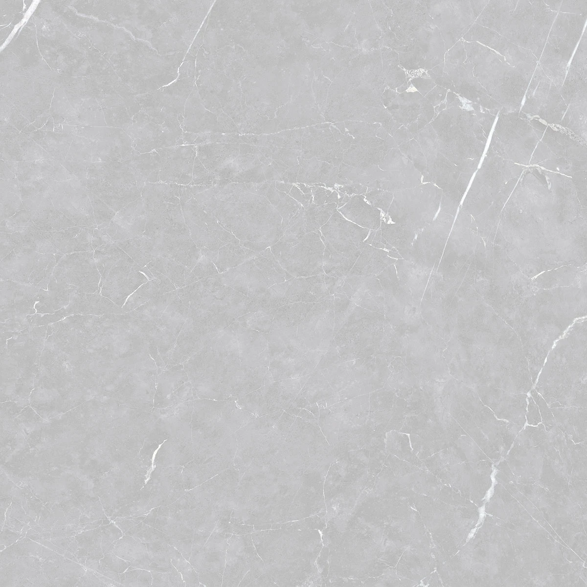 Venato Argenta Acetinado - 120x120 - Delta Nova — foto 2