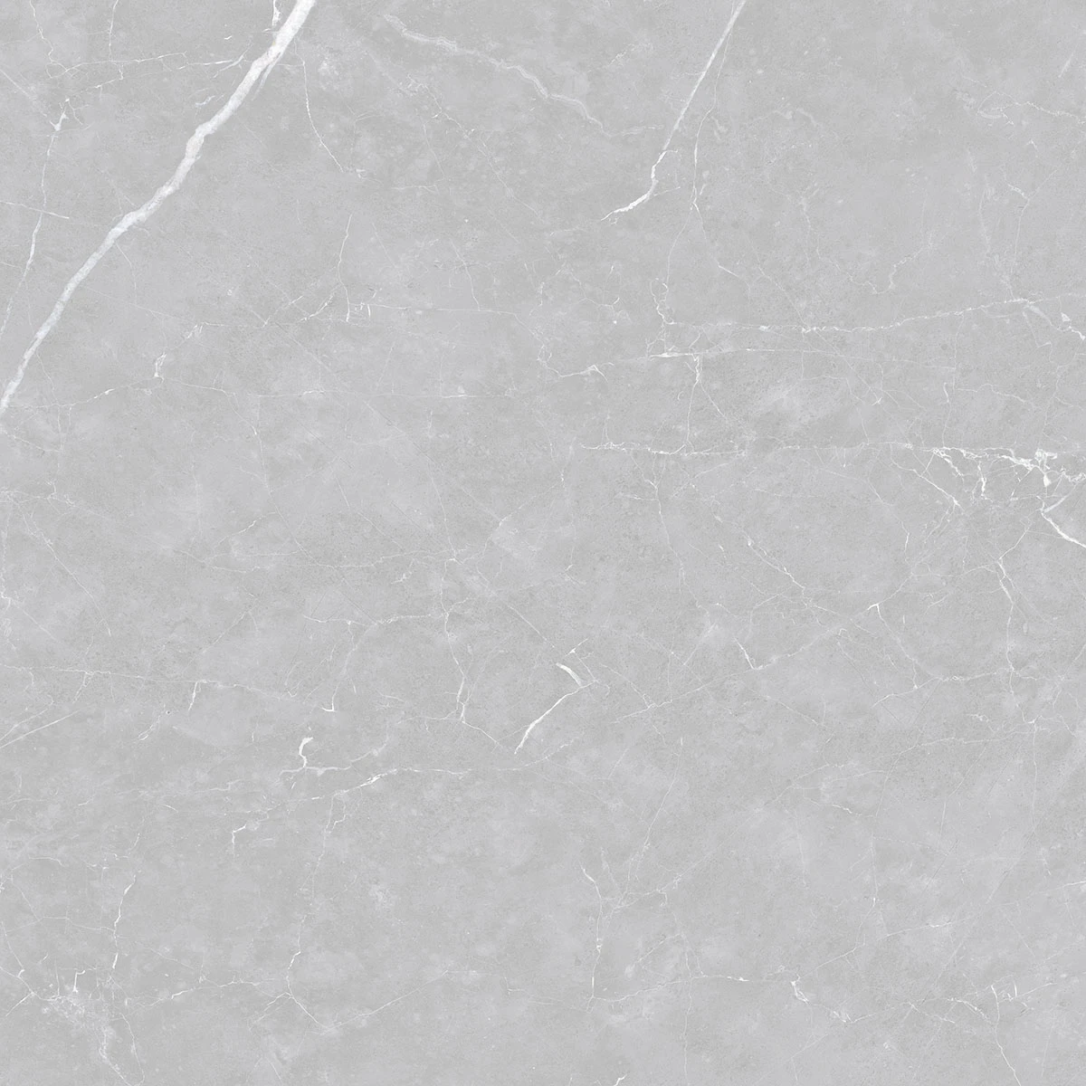 Venato Argenta Polido - 90x90 - Delta Nova — foto 2